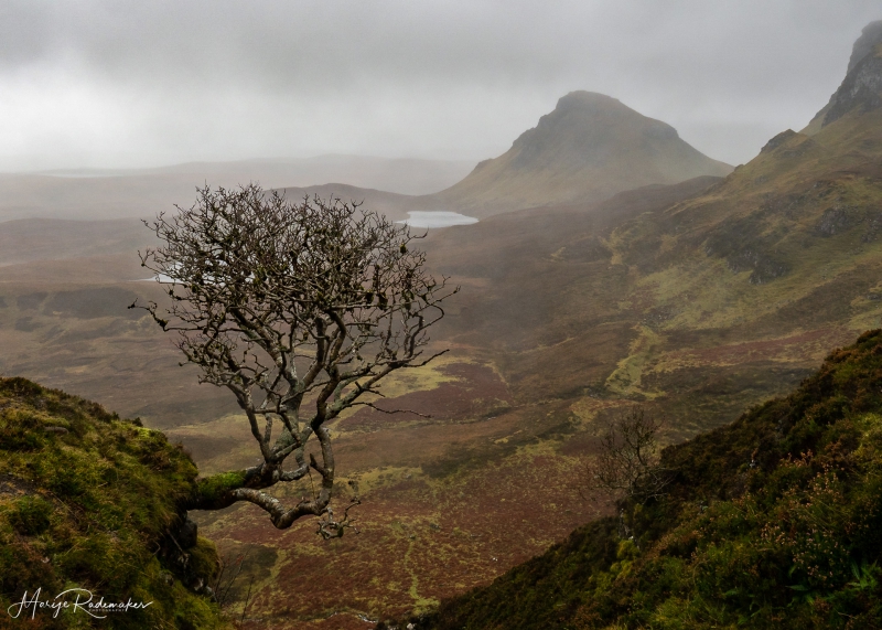 Captured at Quiraing on 14 Nov, 2018 by Marije Rademaker