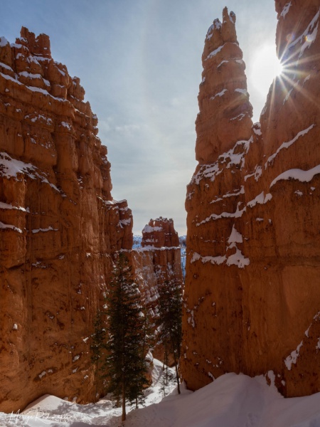 Captured at Bryce Canyon on 03 Dec, 2019 by Marije Rademaker